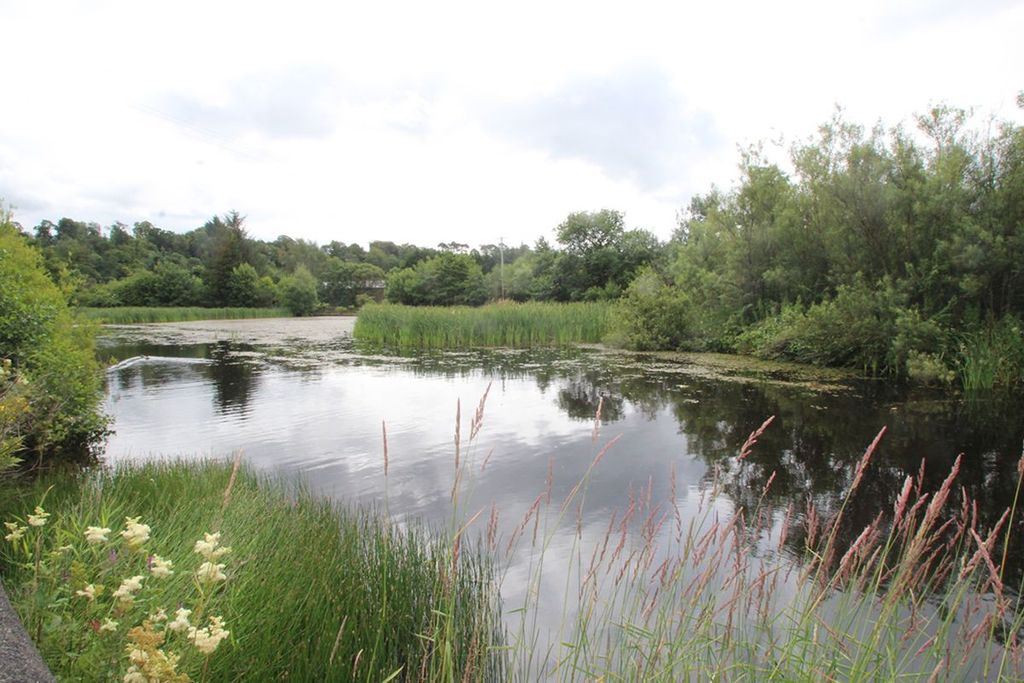 Additional image 8 of Land for saleScots Wa Hae, Plot 5, Poets Rest, Catrine KA56Sw KA5