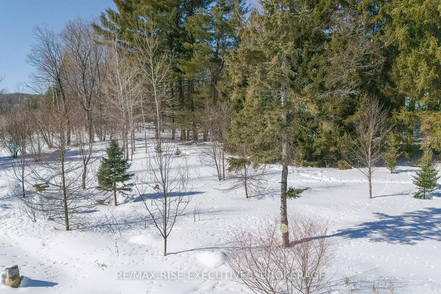 Additional image 18 of 7 Autumn Lane 4