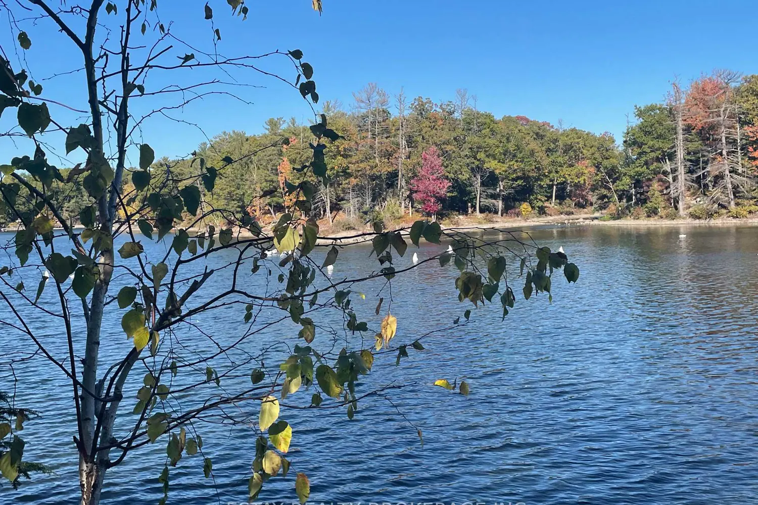 Additional image 14 of 1 Island 60