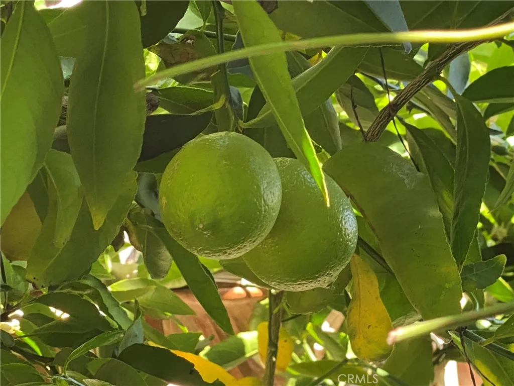 Additional image 95 of 1144 Carson Street, Costa Mesa, CA 92626