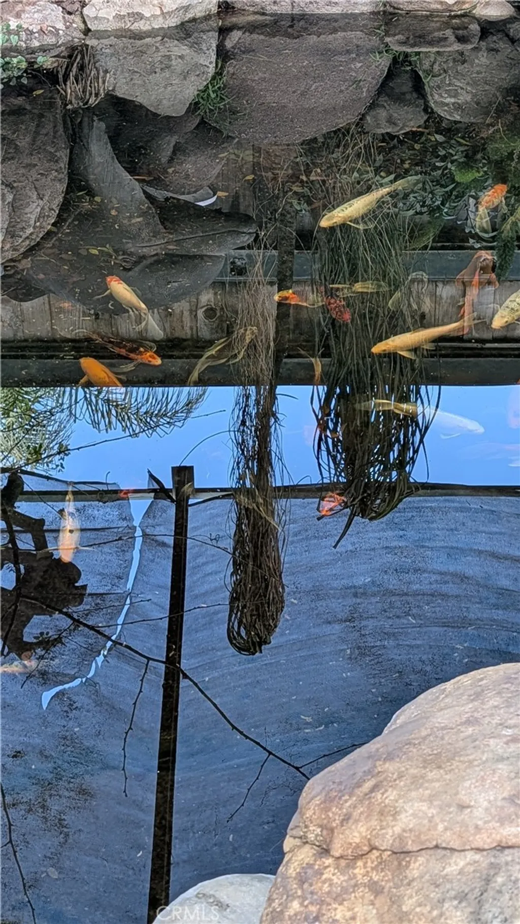 Additional image 27 of 546 Griswold Avenue, San Fernando, CA 91340