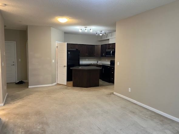 115, Edmonton, AB, T6V 1B7