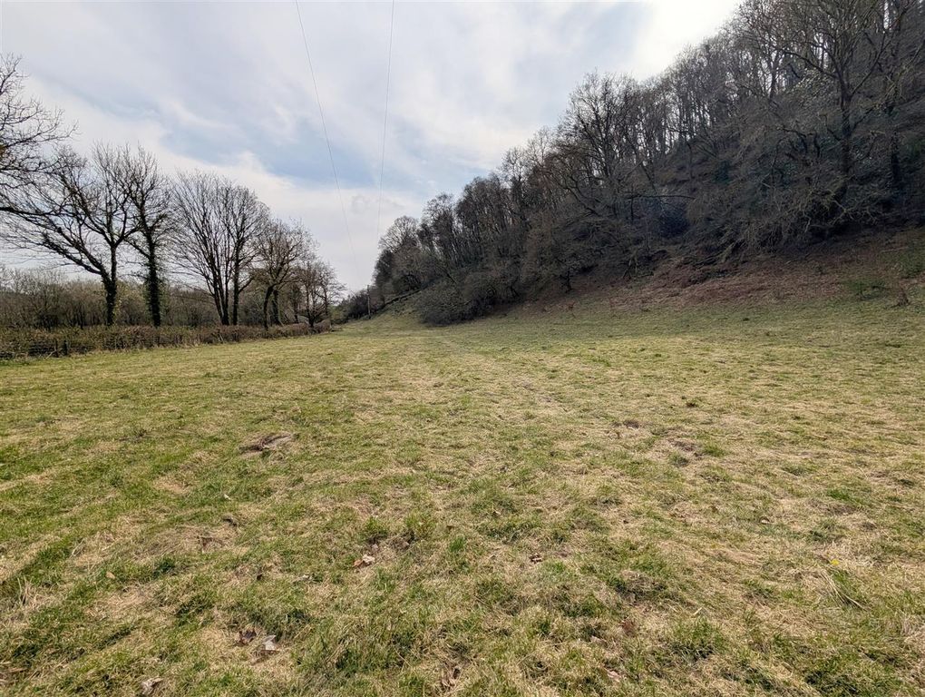 Additional image 48 of 6 bed country house for saleAbergorlech Road, Carmarthen SA32
