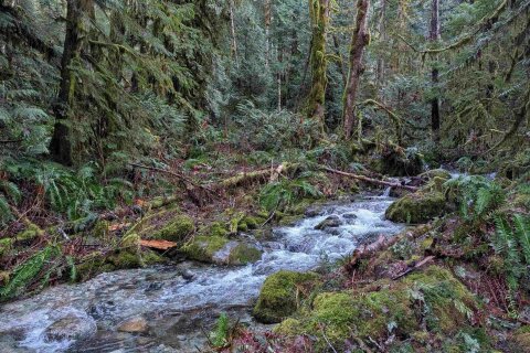 Additional image 9 of 2045 Rustad Road N, Squamish, BC, V0N 3G0