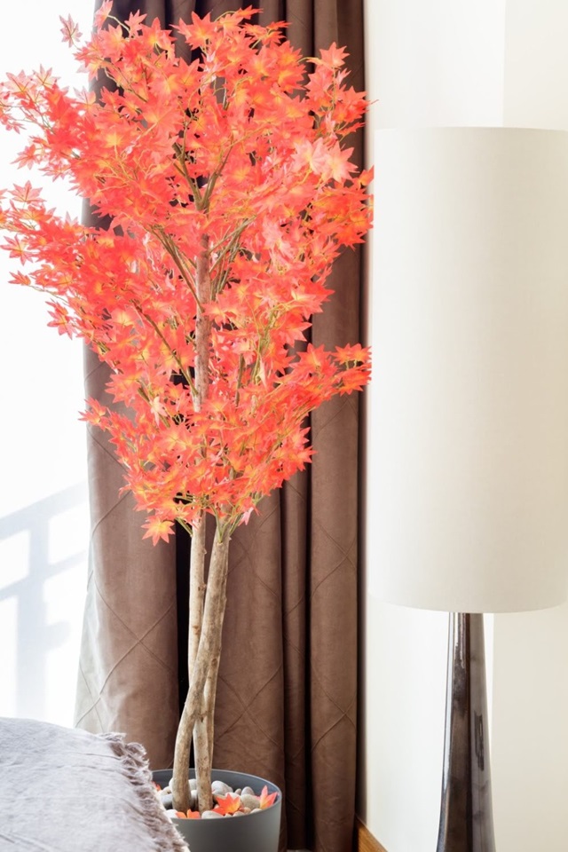 Additional image 20 of 3 Bed Flat, Redmans Road, E1, N1 7GU