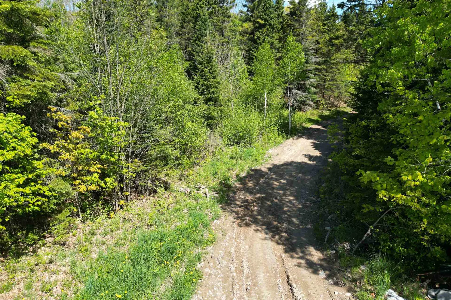 Additional image 4 of 791 Clear Lake Road, Parry Sound Remote Area