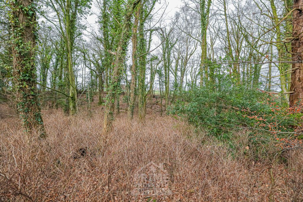 Additional image 5 of Land for salePlot B6, Castle Estate, Coylton, Ayr KA6