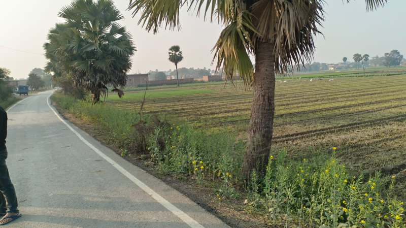 Additional image 2 of Deedarganj, Patna