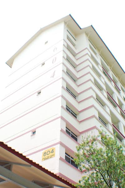 Additional image 20 of 604 Choa Chu Kang Street 62