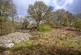 Additional image 4 of Site 1, Lower Achachenna, Kilchrenan, Taynuilt, PA35