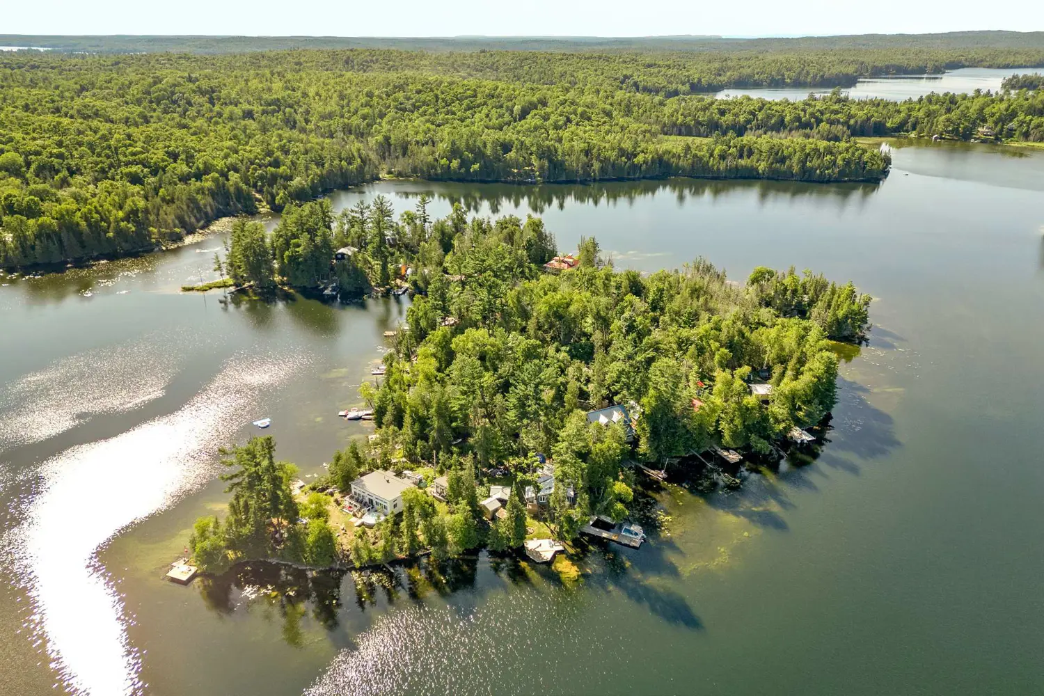 Additional image 17 of 5 Water-Gunter Lk