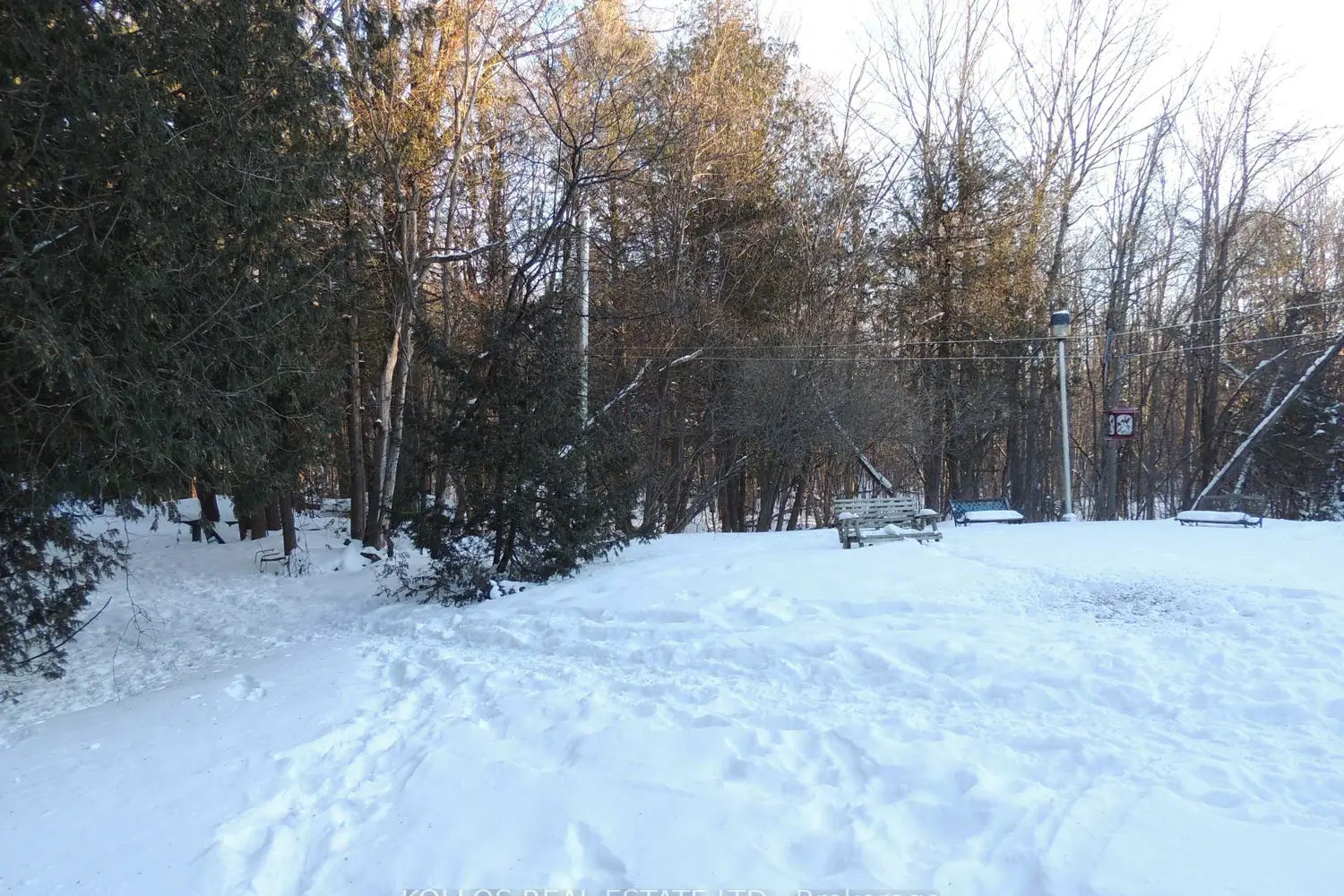 Additional image 3 of 3028 Roger Stevens Drive