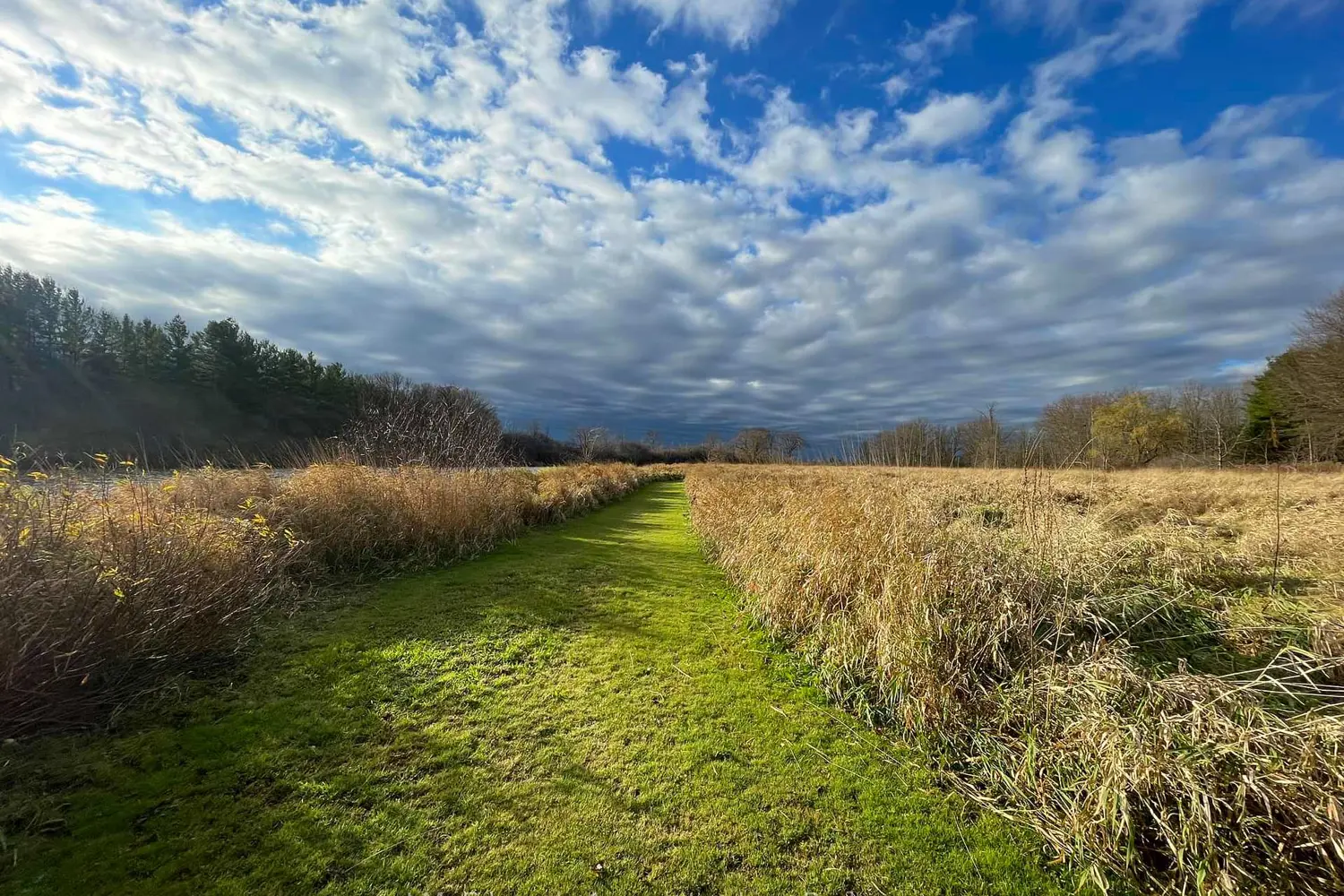 Additional image 3 of 5882 Canborough Road