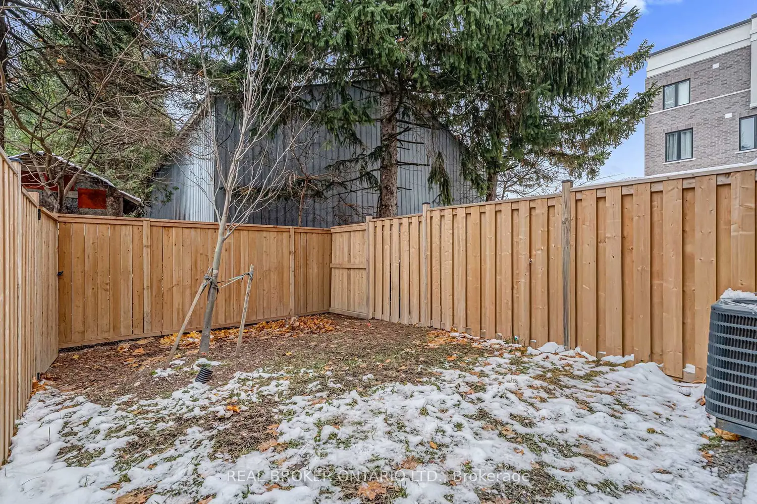 Additional image 19 of 383 Dundas Street 21