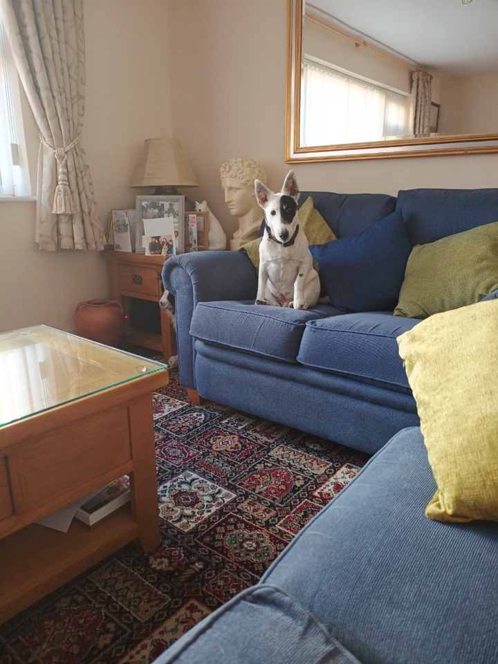 Additional image 3 of Room in a Shared House, Anna Croft, B23, N1 7GU