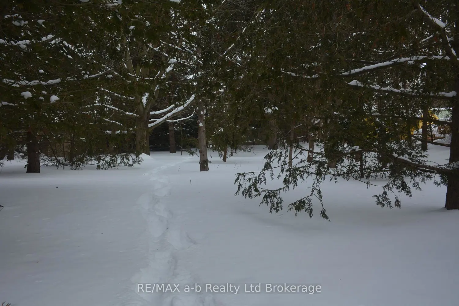 Additional image 11 of 146 Whiting Street