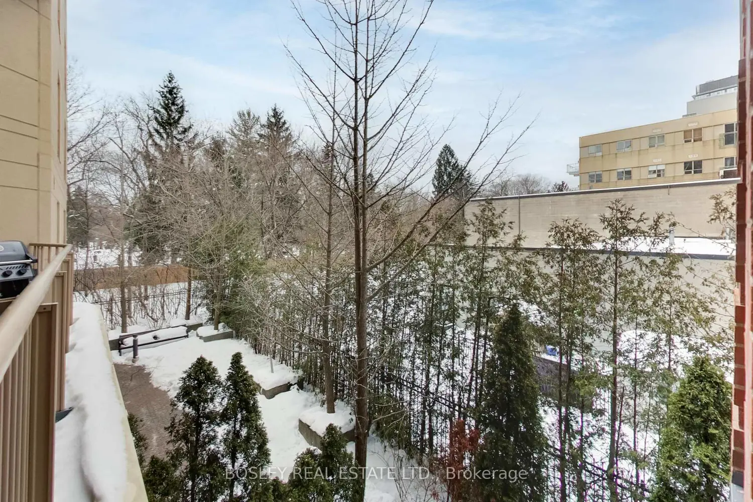 Additional image 14 of 119 Merton Street 215