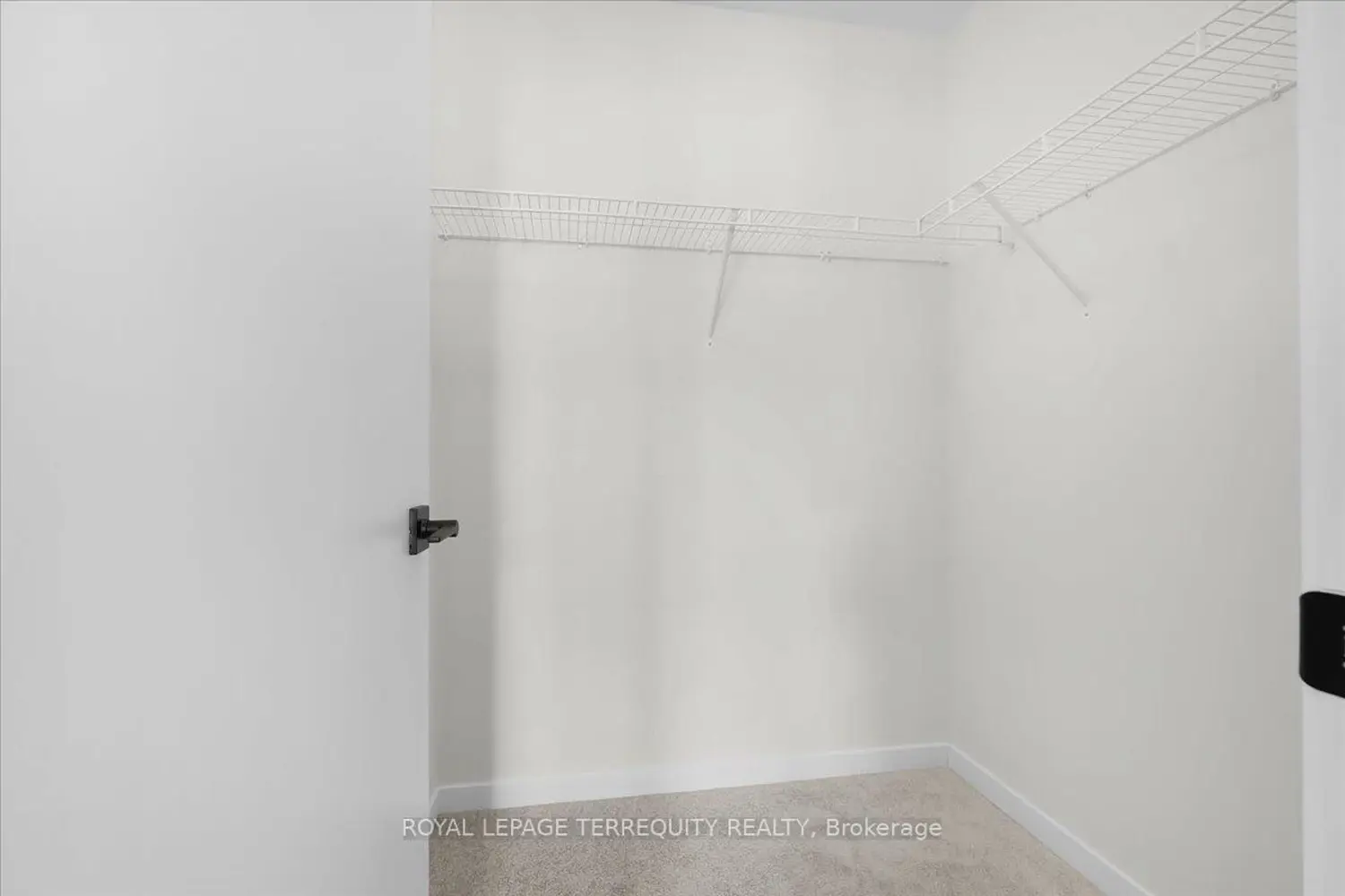 Additional image 10 of 38 Kingbird Common