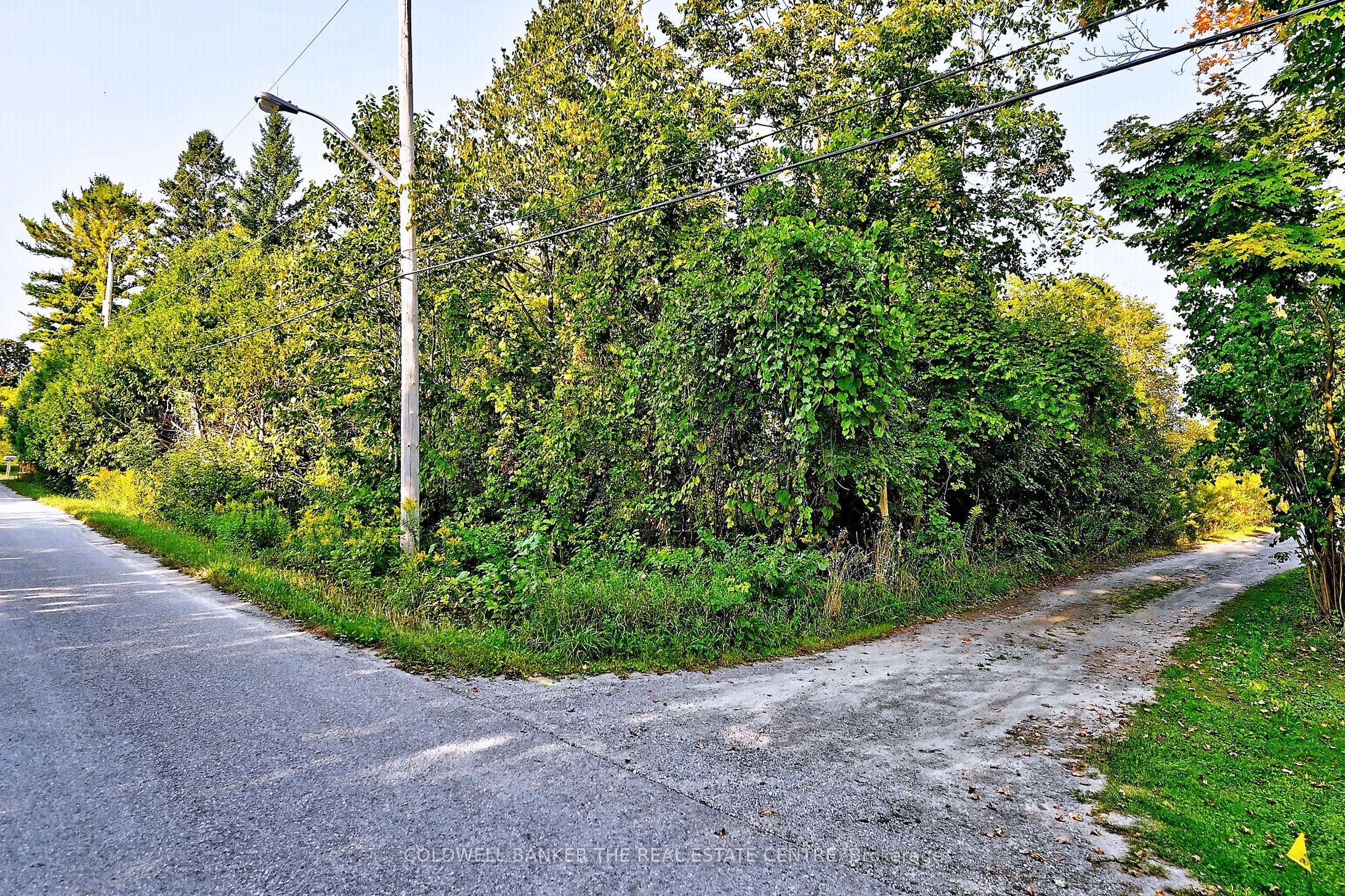 Additional image 4 of 20805 Brock Road, Brock, ON, L0E 1E0
