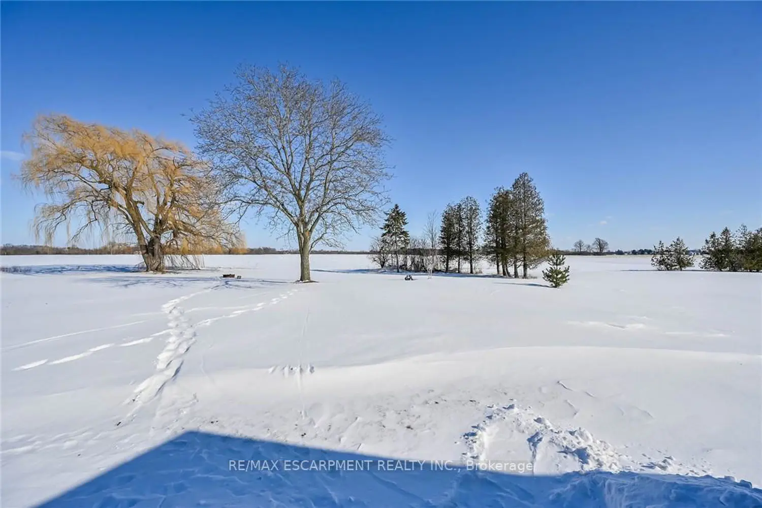 Additional image 15 of 778 Blueline Road