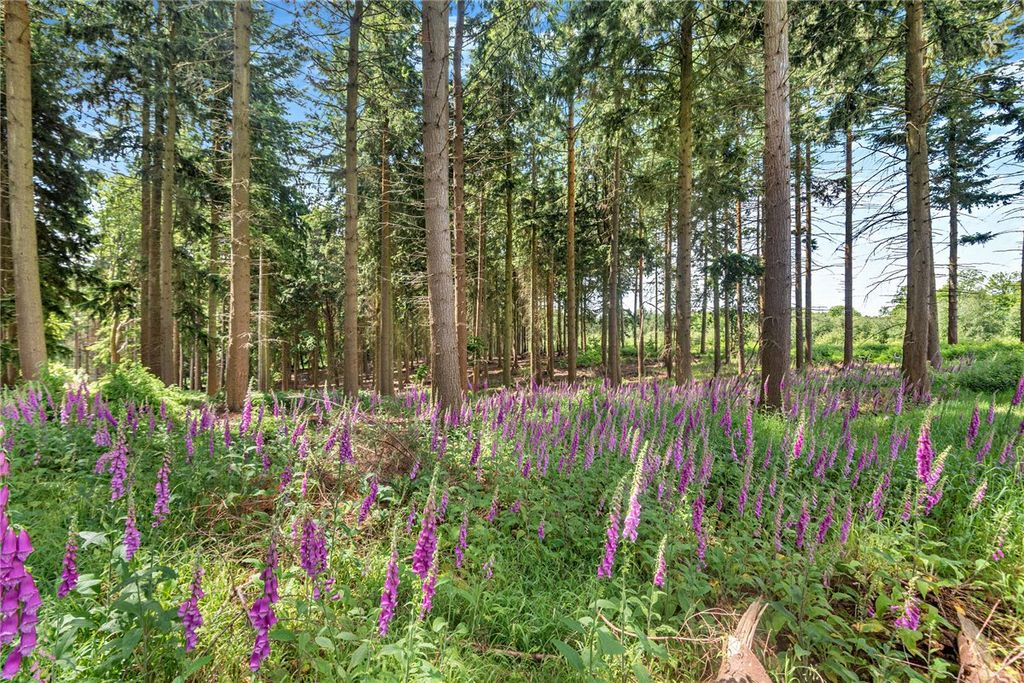Additional image 5 of Land for saleBroad Lane, Upper Bucklebury, Reading, Berkshire RG7
