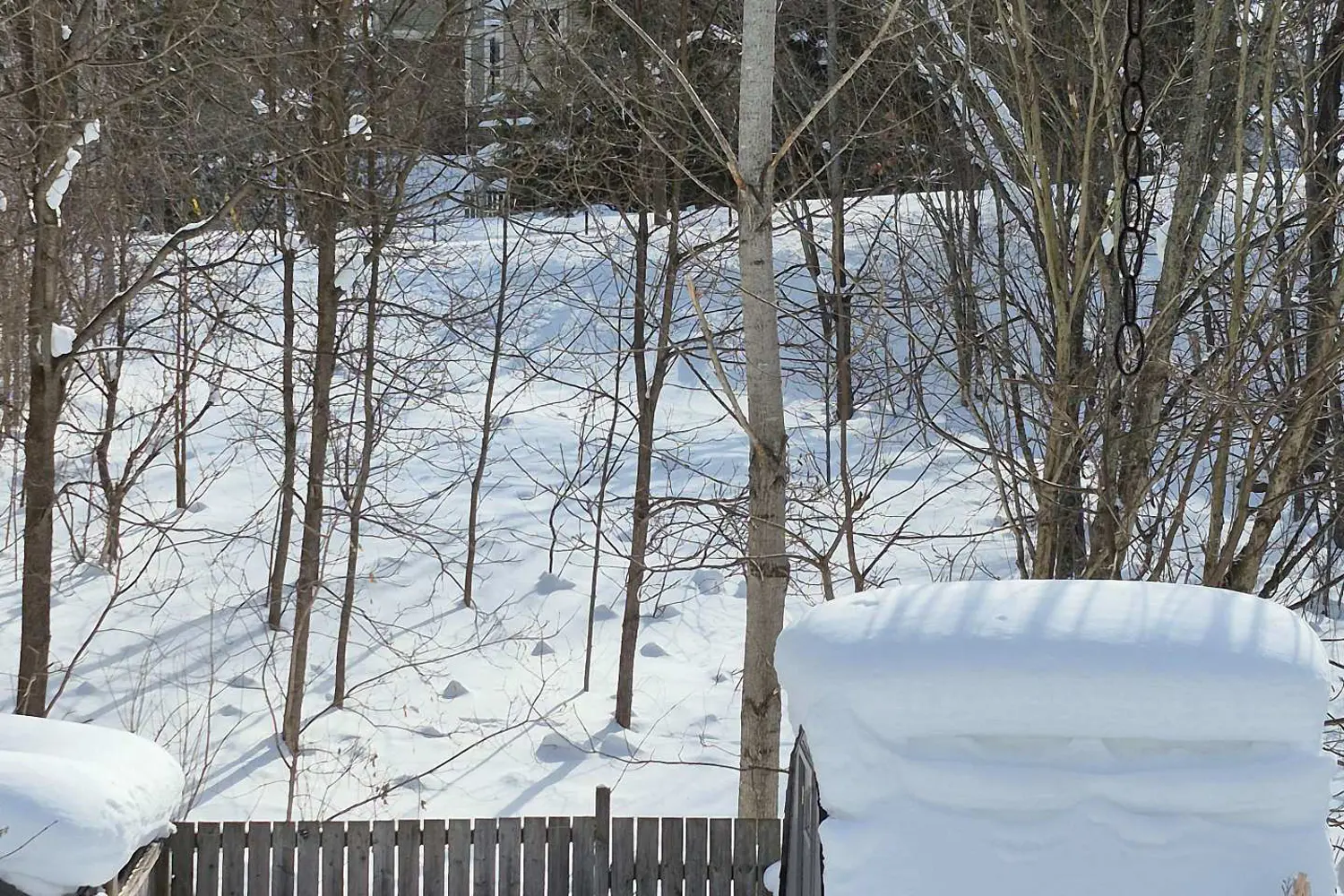 Additional image 18 of 333 James Street