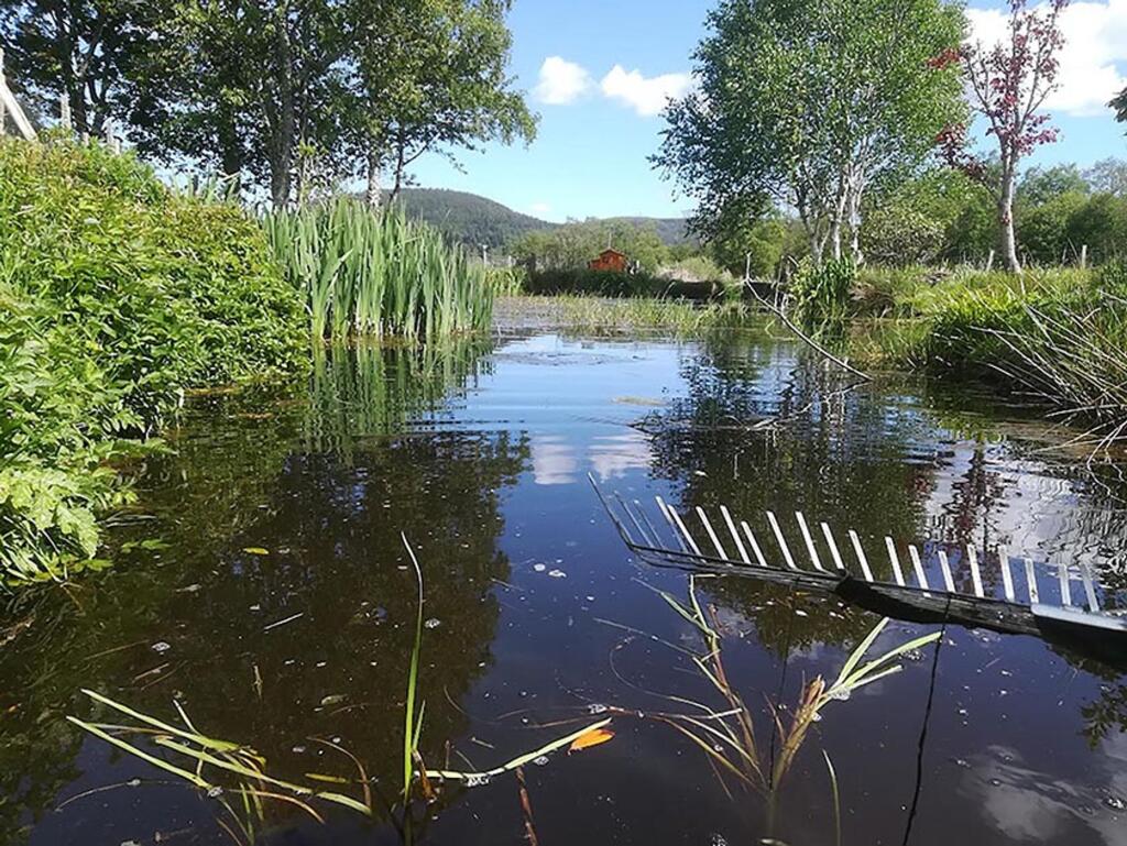Additional image 25 of Bridge Of Gairn, Ballater, AB35
