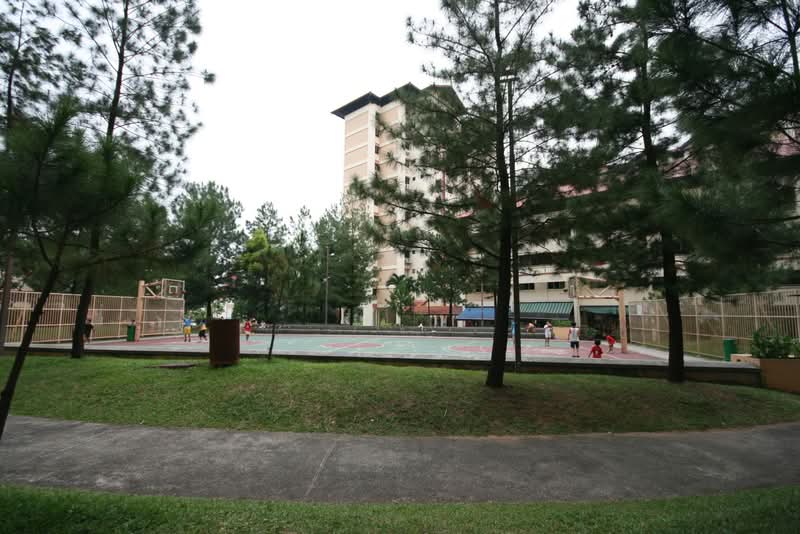 Additional image 17 of 244 Jurong East Street 24