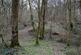 Additional image 12 of Callow, Hereford HR2
