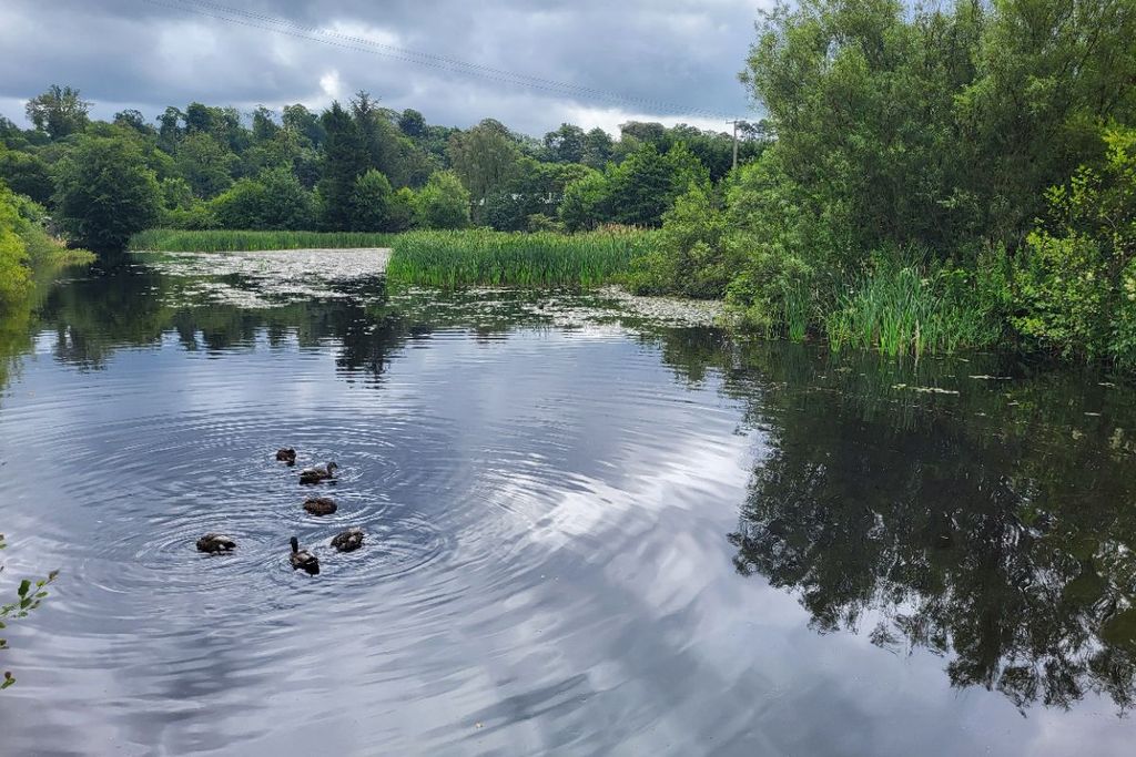 Additional image 6 of Land for saleScots Wa Hae, Plot 5, Poets Rest, Catrine KA56Sw KA5