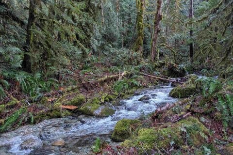 Additional image 7 of 2045 Rustad Road N, Squamish, BC, V0N 3G0