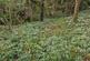 Additional image 51 of Llanbadarn Fawr, Aberystwyth, Ceredigion, SY23