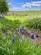 Additional image 2 of Near Llanrothal , Monmouth NP25