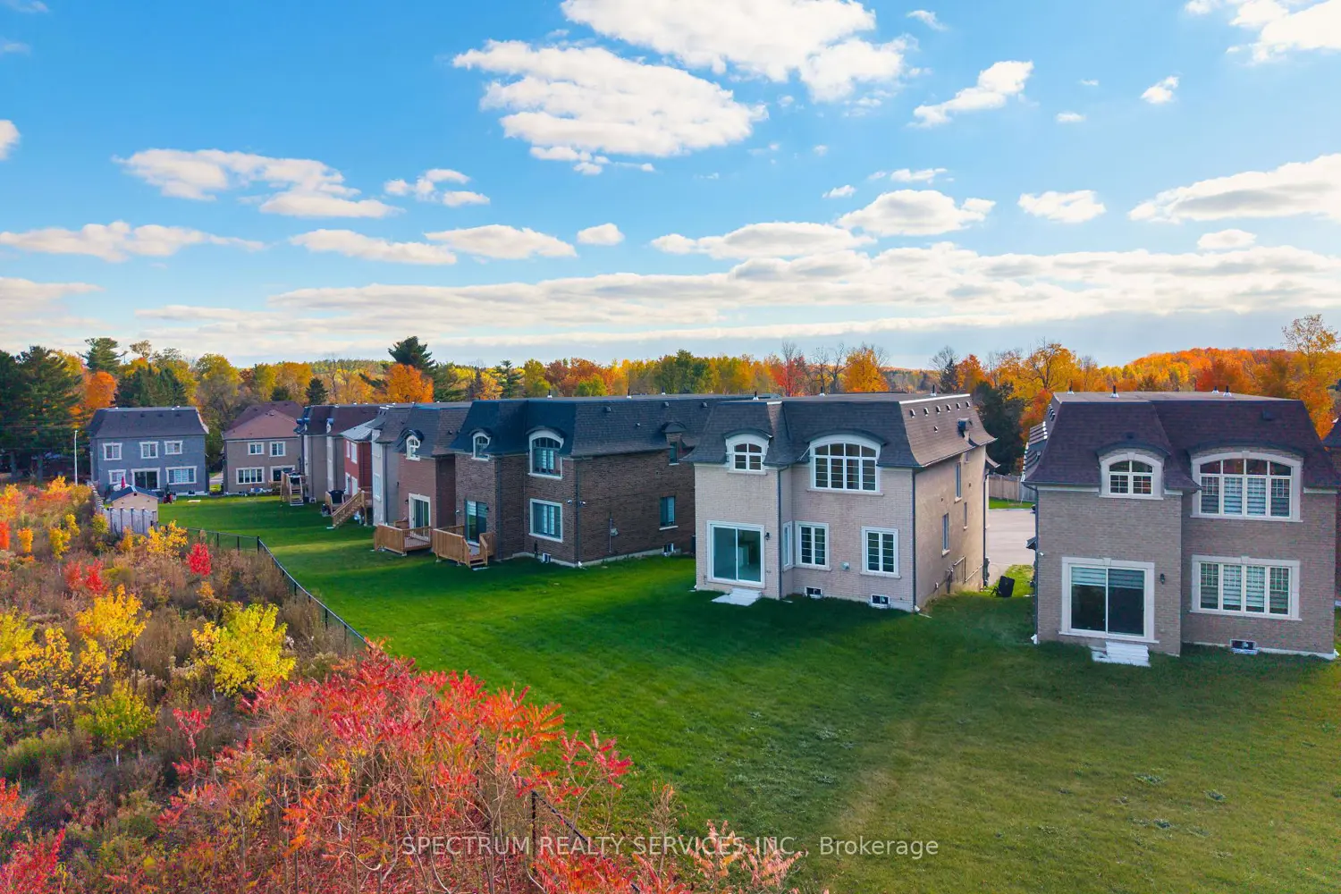 Additional image 16 of 19 Swamp Sparrow Court