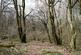 Additional image 17 of Callow, Hereford HR2