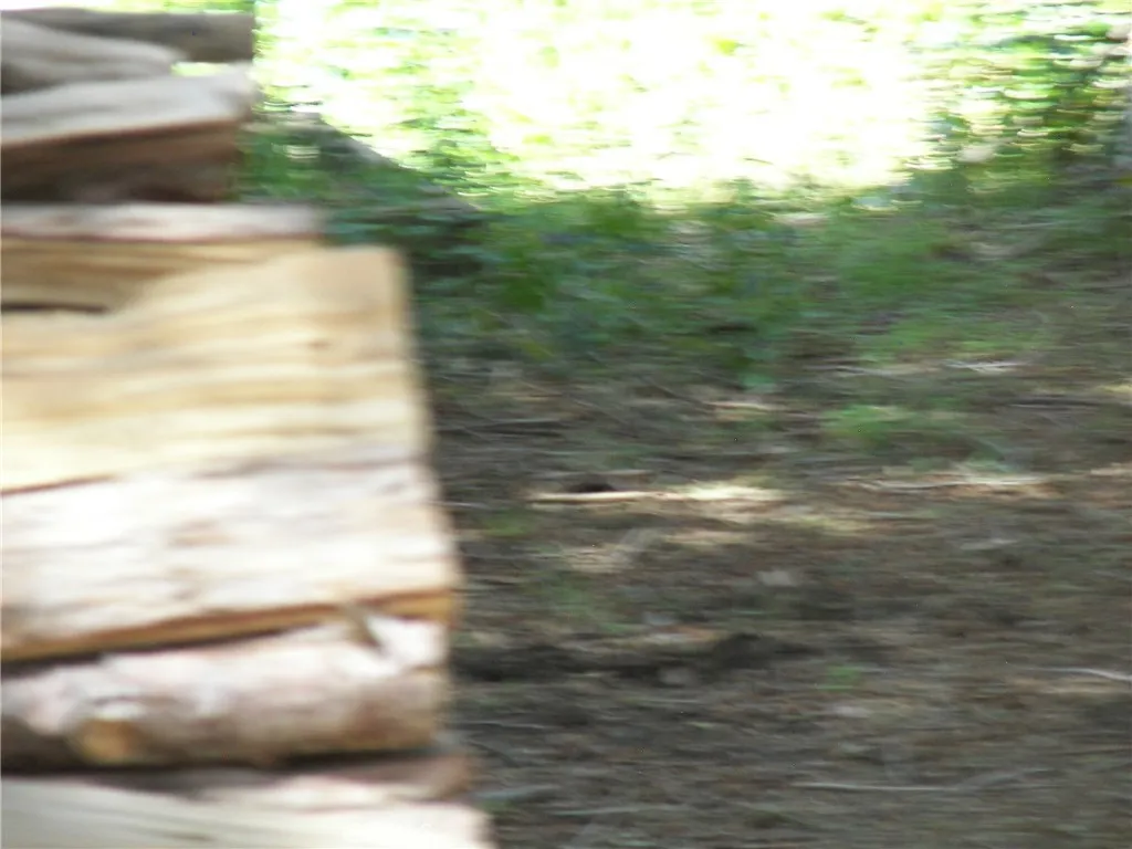 Additional image 148 of 21636 Sawpit Canyon Rd, Cedarpines Park, CA 92322