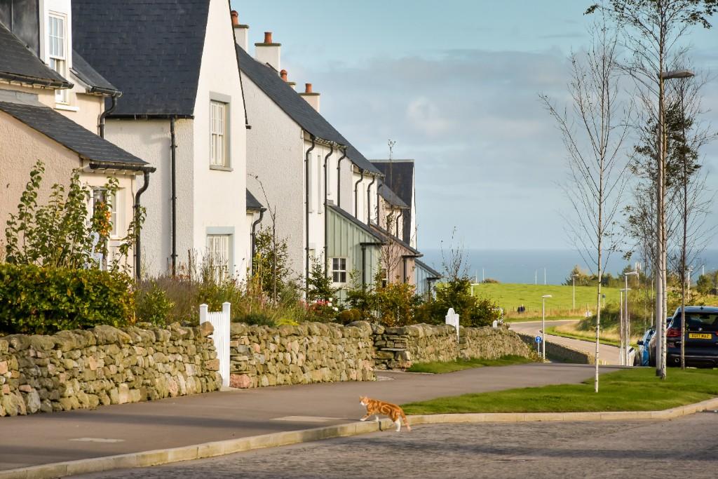 Greenlaw Road, 
Stonehaven, 
AB39 8AB
