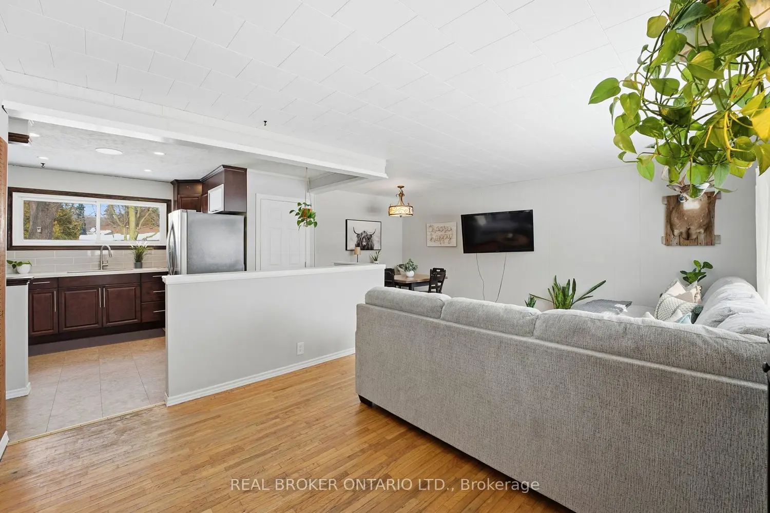 Additional image 4 of 11 Brooklyn Avenue