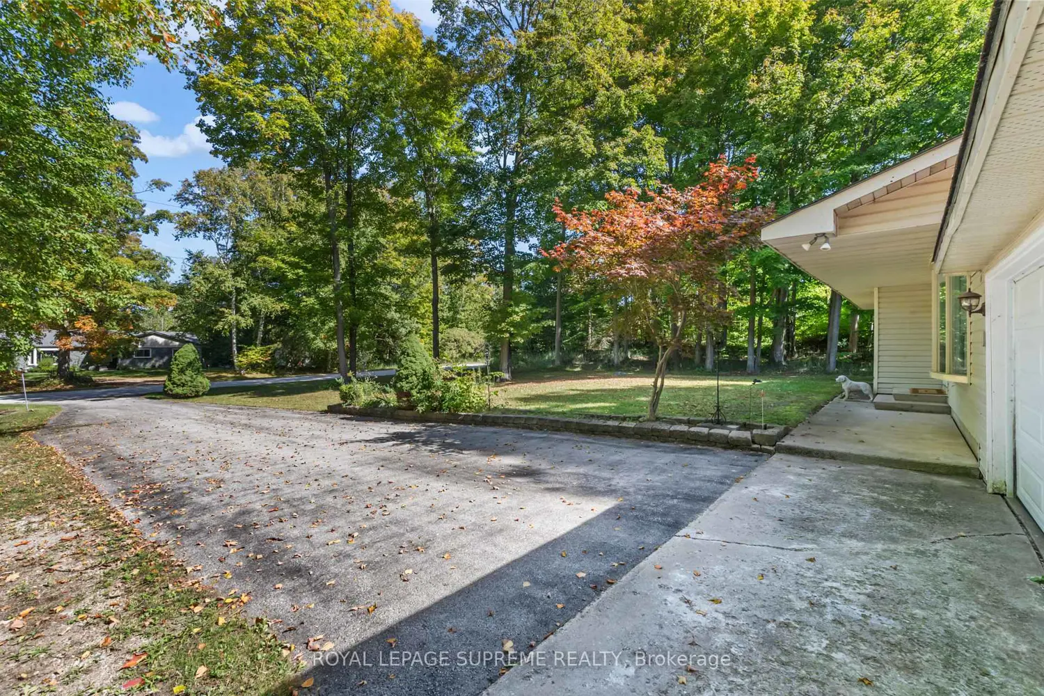 Additional image 7 of 42 Birch Street