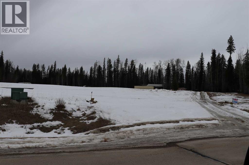 49, 16511 Township Road 532A