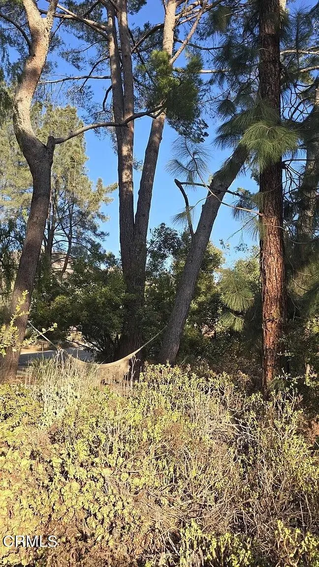 Additional image 110 of 1450 McAndrew Road, Ojai, CA 93023