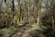 Additional image 22 of Callow, Hereford HR2