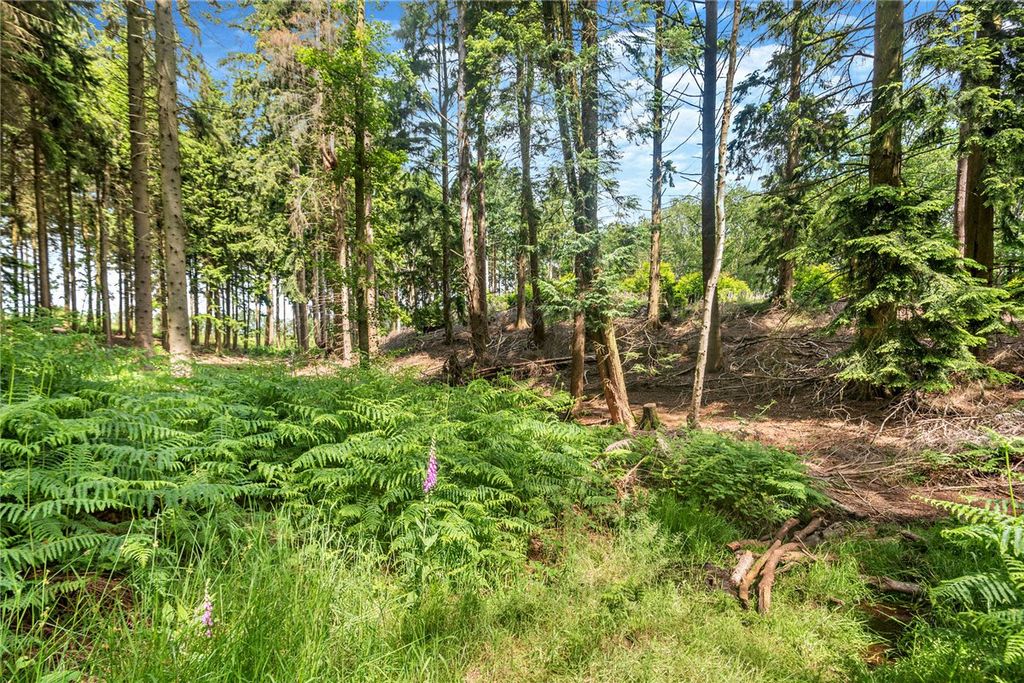 Additional image 9 of Land for saleBroad Lane, Upper Bucklebury, Reading, Berkshire RG7