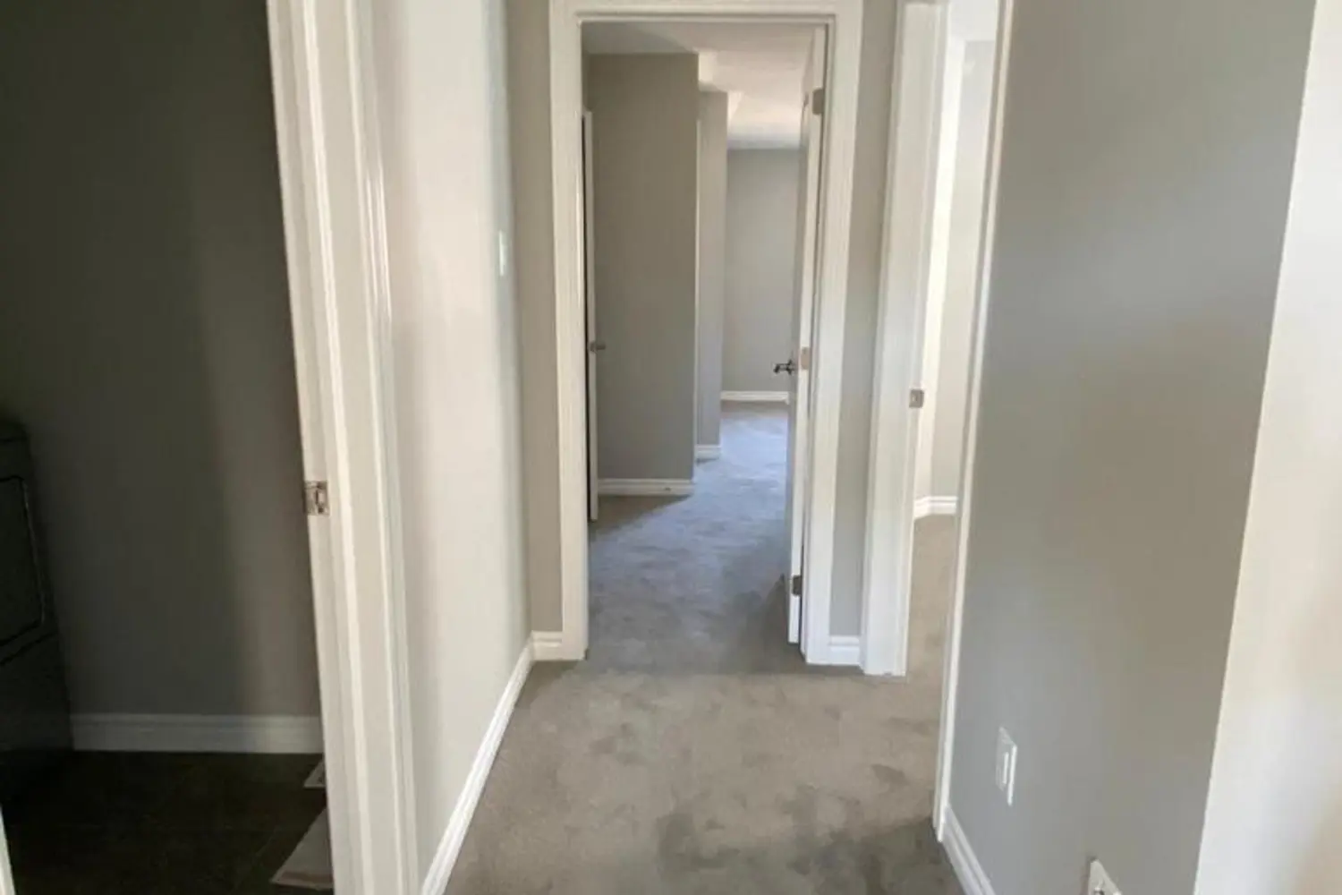 Additional image 13 of 507 Nordmann Fir Court