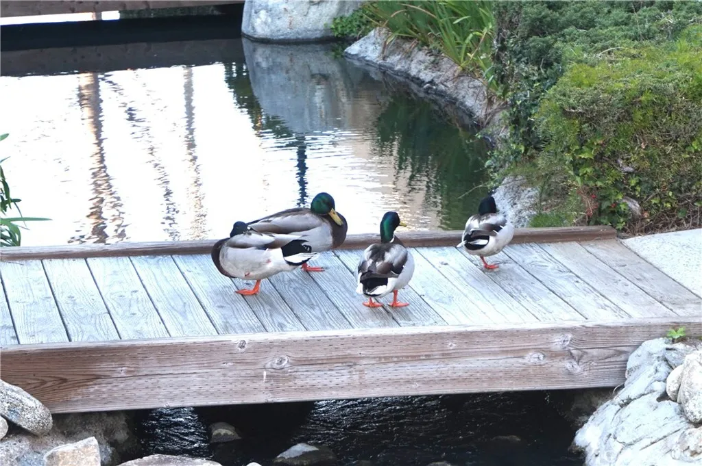 16521 Grunion Ln, Huntington Beach, CA 92649