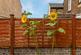 Additional image 13 of Broadwater Street East, Worthing