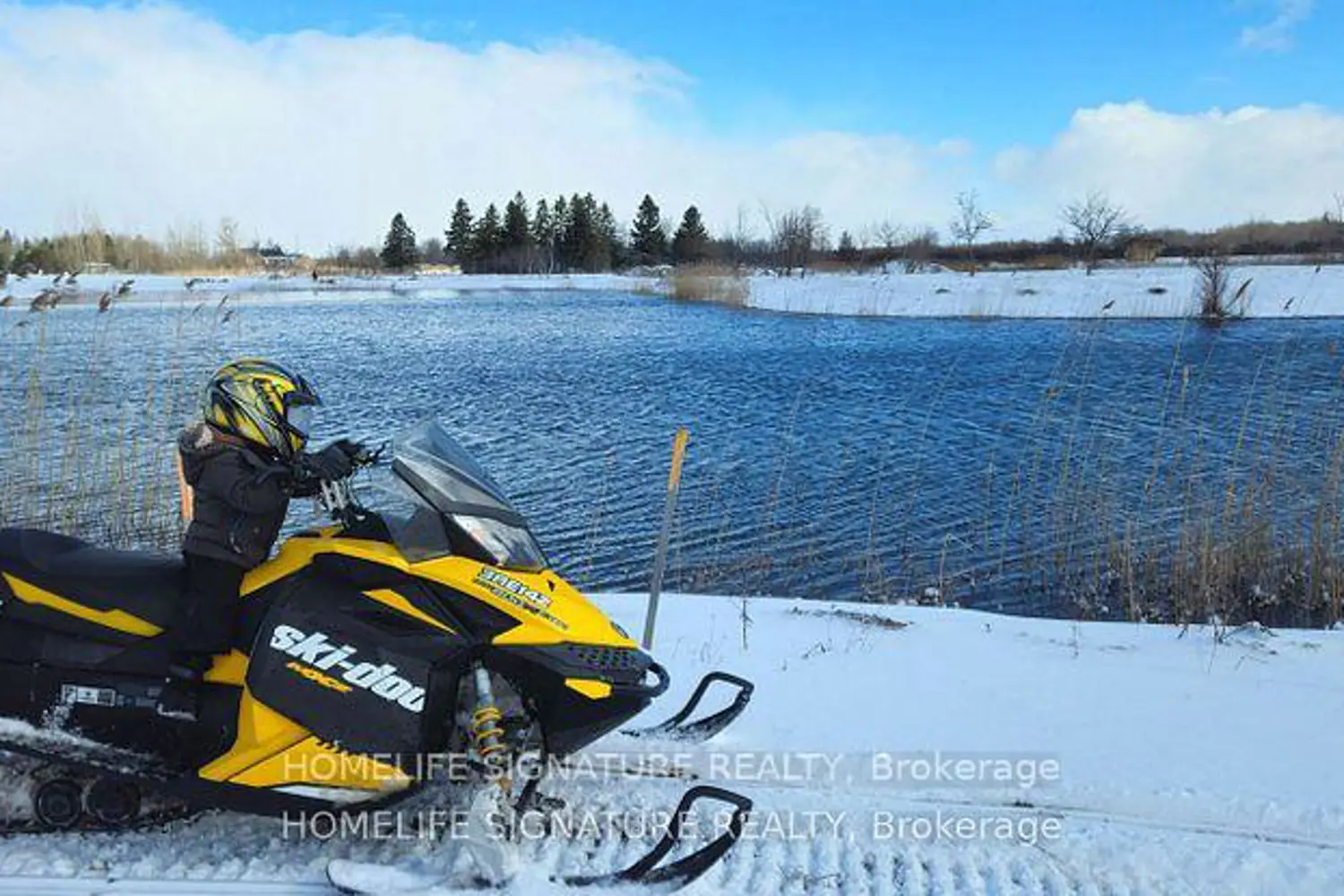 Additional image 20 of 375721 6Th Line