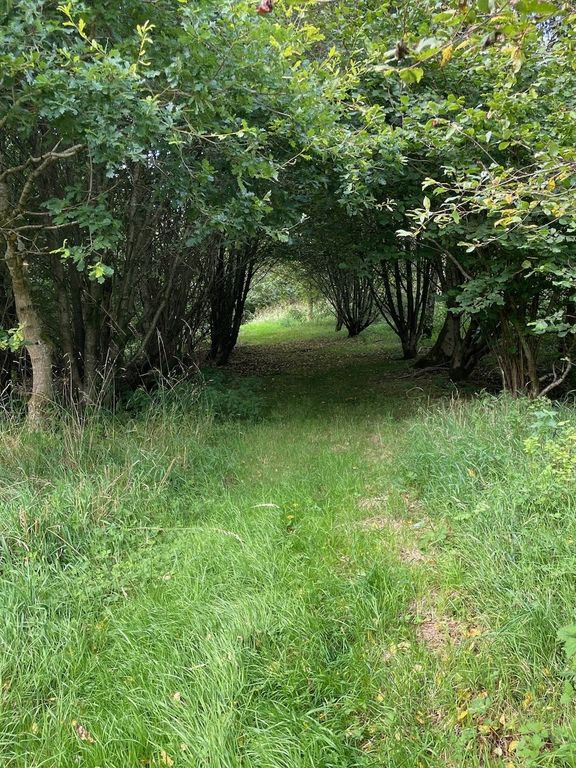 Additional image 54 of Land for saleAuchengray, South Lanarkshire ML11