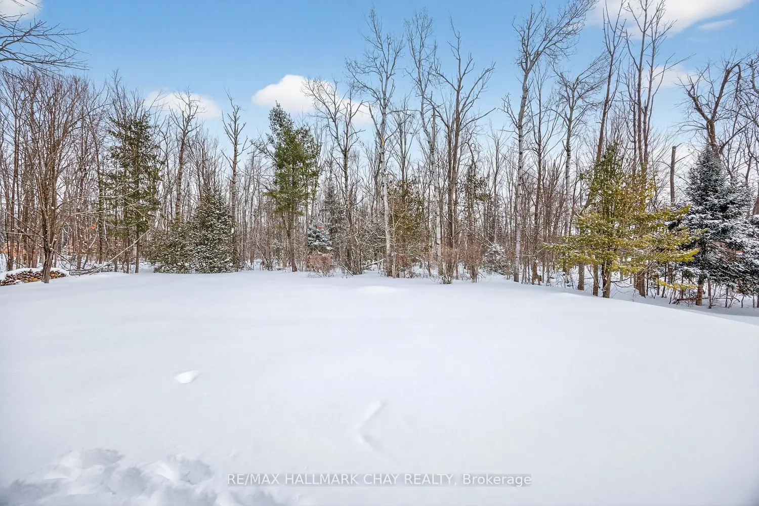 Additional image 15 of 1075 6 Line