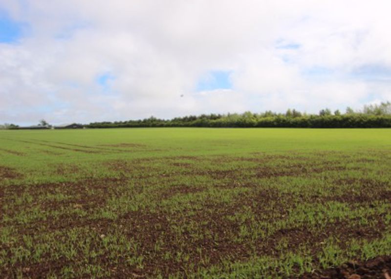 Additional image 5 of Property for saleMuirdrum, Carnoustie DD7